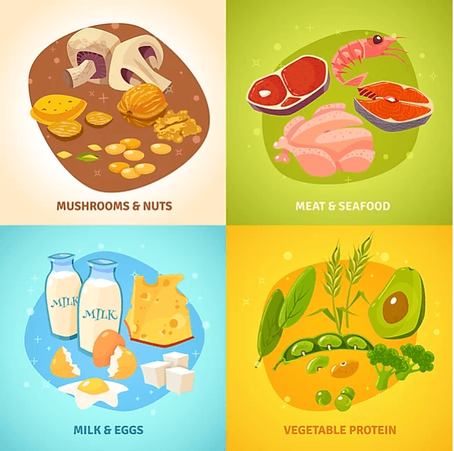 HOW MUCH PROTEIN SHOULD YOU EAT?