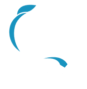 Qintensity Fitness