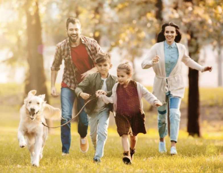Child playing with a family dog outdoors