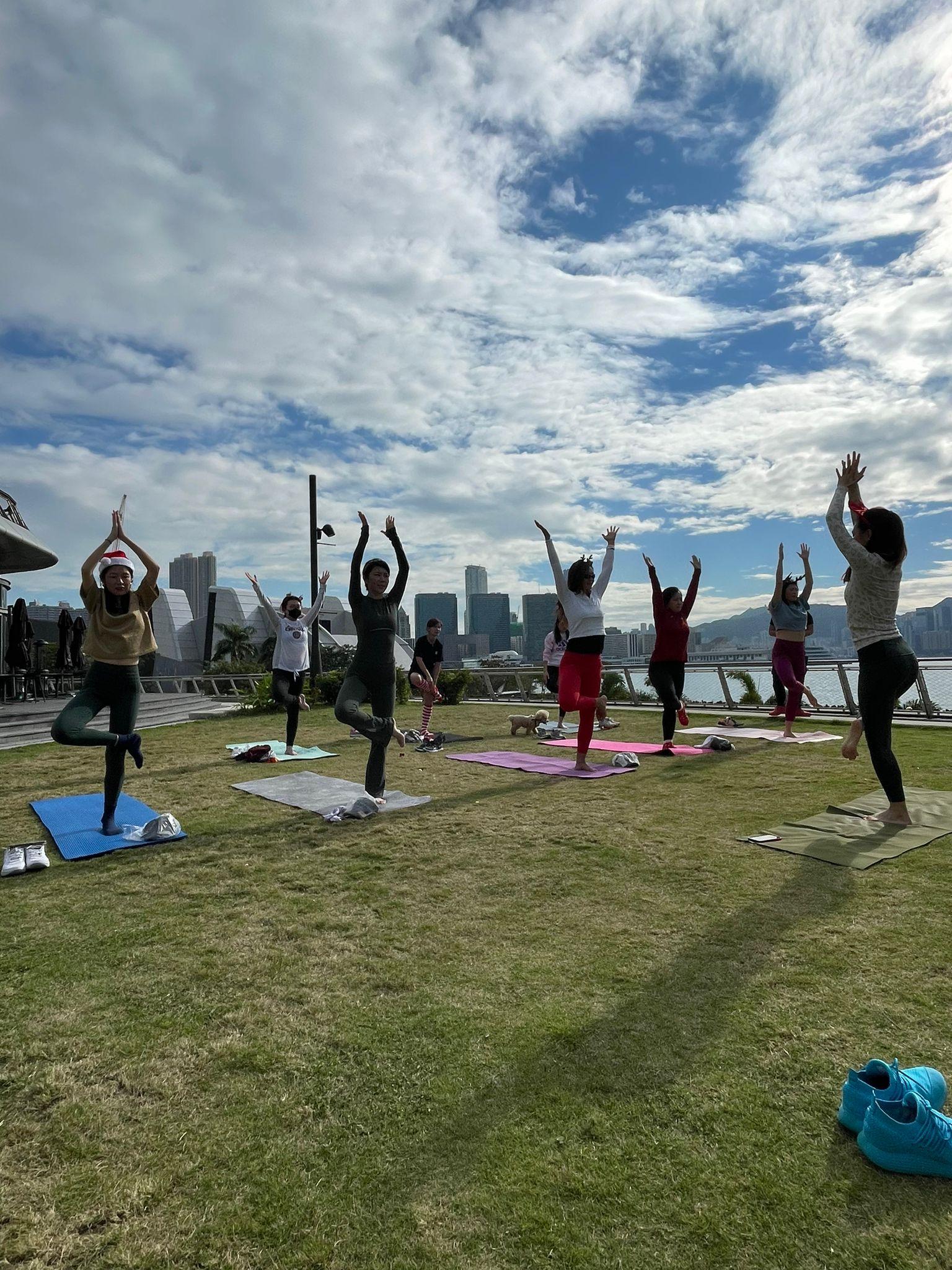 Puppies joining the morning yoga session